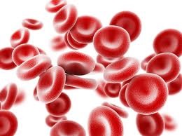 anemia cura