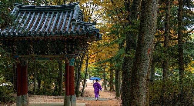 Le mete da sogno per un viaggio di nozze in Giappone e Corea del Sud